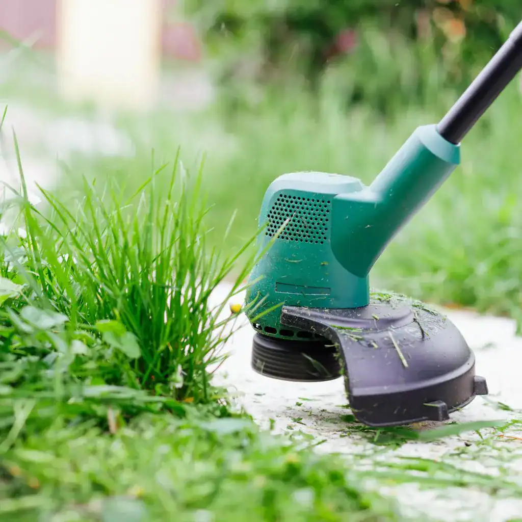 artificial grass for gardens maintanence costs
